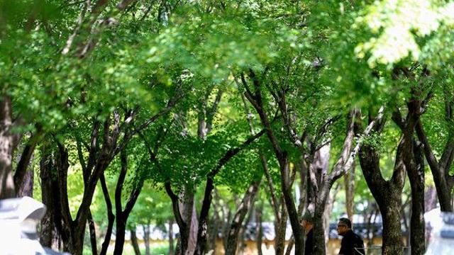대구·경북, '낮 33도' 가마솥 더위…푹푹 찌는 밤 