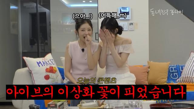 강남, 이번엔 아이브 앞세워 몰카…이상화 “도둑 든 줄”
