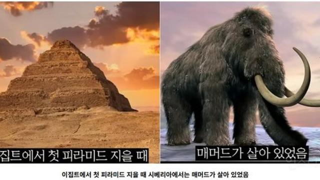 뇌정지 온다는 세계의 역사가 겹치는 순간들