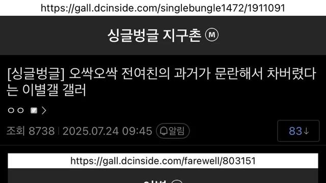 여친이 걸레같아서 바로 차버렸다는 디시 이별갤 갤러 논란