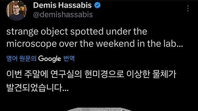 나노바나나 근황