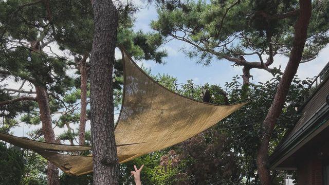 박지원, 케이크 티셔츠 한 장으로 여름 테라스 접수…로우라이즈가 이렇게 힙했다고?