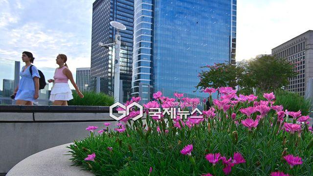 [오늘날씨] 인천·강원 최고 60㎜ '소나기'...서울 낮 31도·부산 33도 무더위