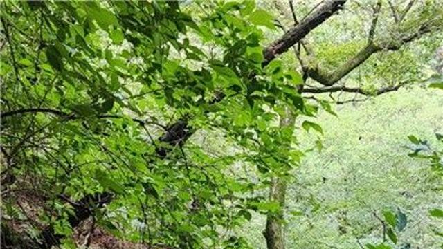 119 대원, 소요산 절벽 아래 떨어진 50대 여성 무사 구조