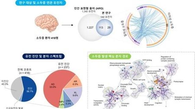 국내 소두증 유전자 스펙트럼 규명…전체 환자 57.6%, 유전적 원인 진단