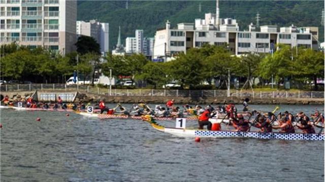수영강 가르는 드래곤보트의 질주…부산국제드래곤보트대회