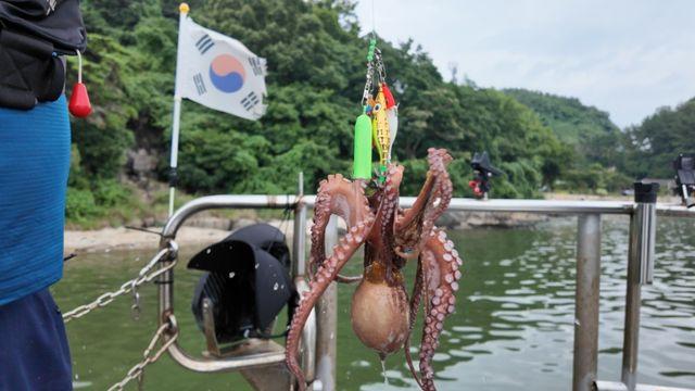 한국기행 1박 2일 힐링 아지트 4부 율티마을 편