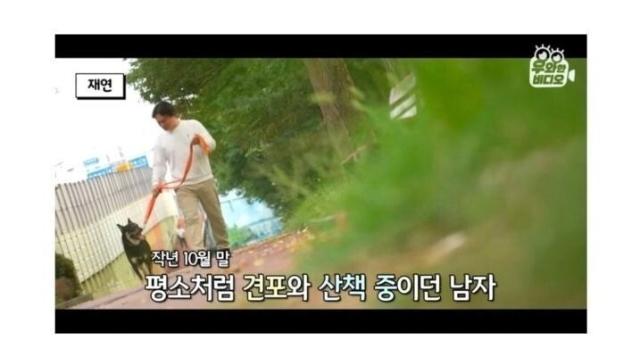 안양에서 유명했던 떠돌이 개