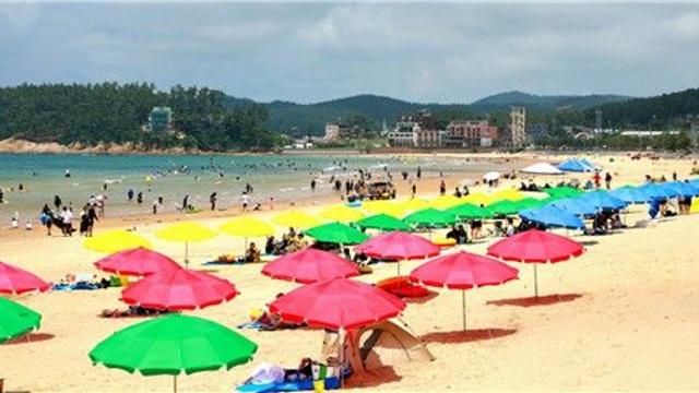 태안 22개 해수욕장서 160만명 피서…절반이 만리포 찾아