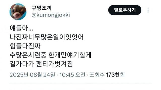 다이소에서 절대 사지 말아야 하는거