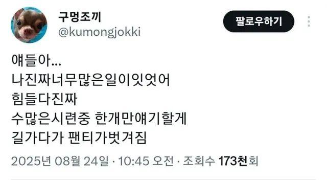 다이소에서 절대 사면 안되는 물건