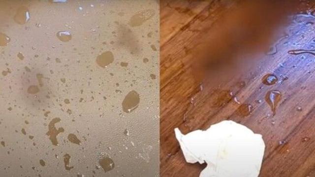 한밤중 남녀 난동에 무인카페 초토화…업주 '황당'