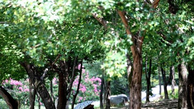 충남권 최고체감온도 33도 안팎 무더위…일부 지역 소나기