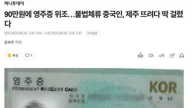 대한민국 영주증 90만원이면 얻을 수 있는 거 아냐?