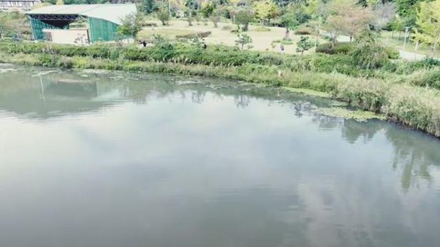 전남도청 저수지서 30대 도청 공무원 숨진 채 발견