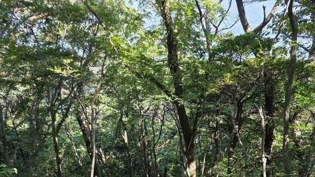 요즘 지리산 근황이라는데 ㅎㄷㄷ