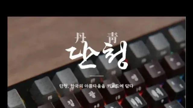 현재 외국인들이 약탈중이라는 우리의 것 근황