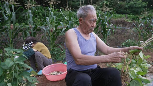 ‘인간극장’ 어쩌다 동거, 이별준비 하는 두 부부의 결말은?