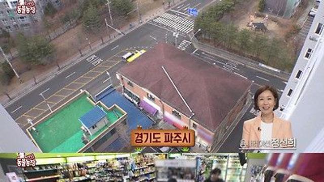 충격 전개로 눈물나는 동물농장 편의점 고양이 사연
