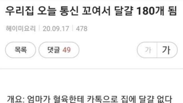 갑자기 집에 달걀 180개가 생긴 가족 사연