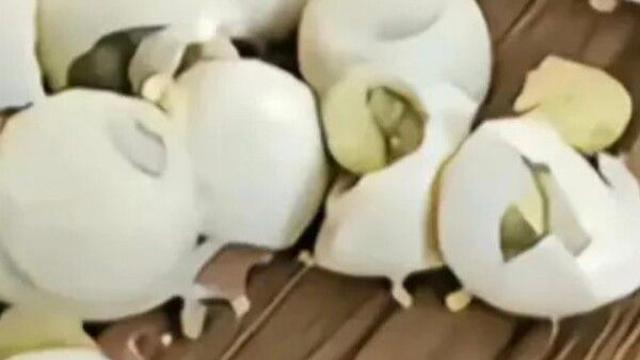 조식 달걀 10개 챙기다 걸리자…으깨고 떠난 中 여성