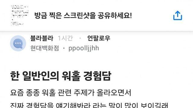 호주워홀