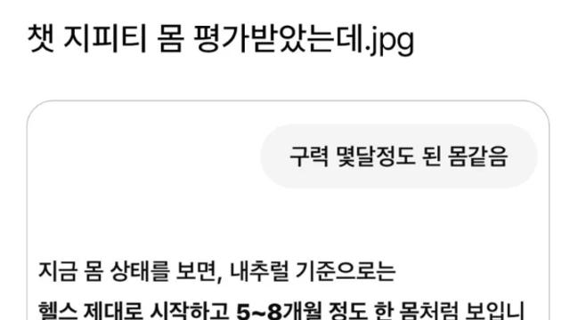 챗gpt에게 운동한 몸 평가 받아봄