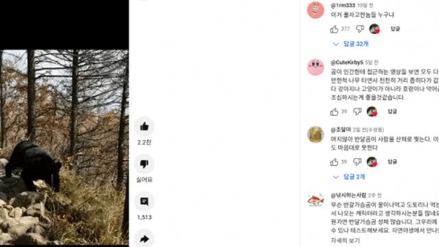 지리산 반달곰 여론.jpg
