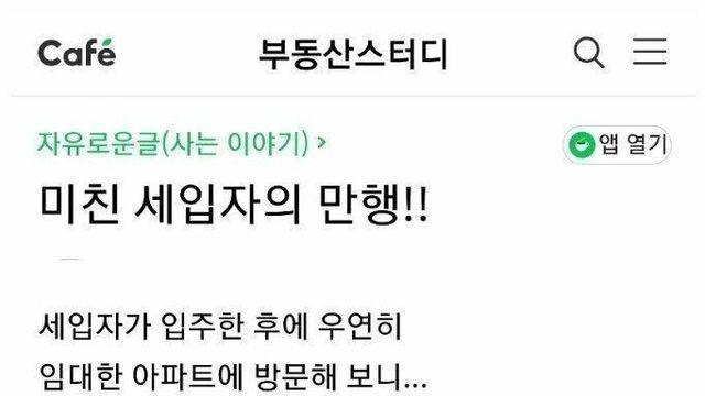 부동산카페 미친 세입자의 만행