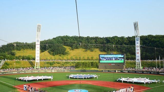 올해도 '울산 갈매기' 만난다!…롯데, 23일 NC전+25일 LG전 울산 경기 편성