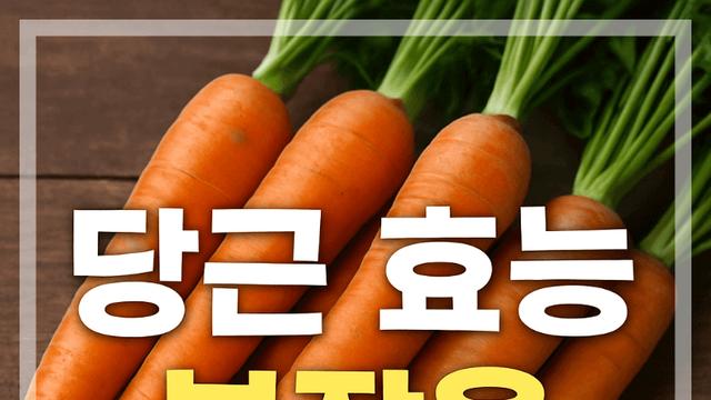당근 효능 부작용 알고 먹으면 건강이 달라집니다