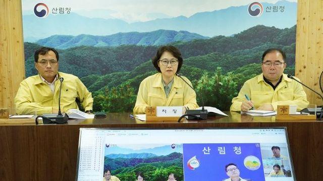 산림청, 여름철 산불 적극 대응 나선다!