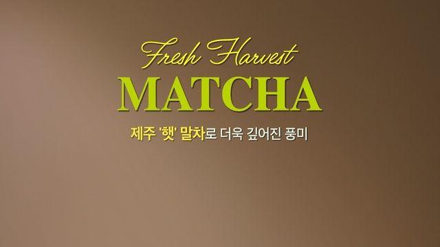 [신상잇슈] SPC 초당옥수수 미니꿀약과·bhc 콰삭 슈림프