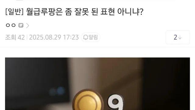 월급루팡은 잘못 된 표현 아니냐?