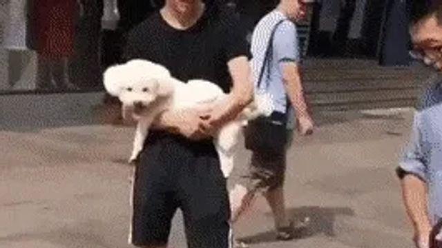 나도 쟤처럼 안아줘요.gif