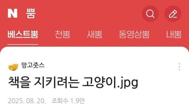 책을 지키려는 고양이.jpg