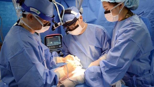 '돼지 폐' 이식한 인간, 9일 동안…한국 연구진도 참여한 수술, 믿기 힘든 일 일어났다