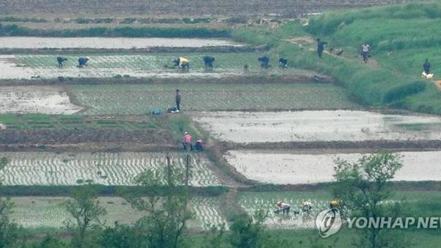 북, 농장결산분배법 채택…