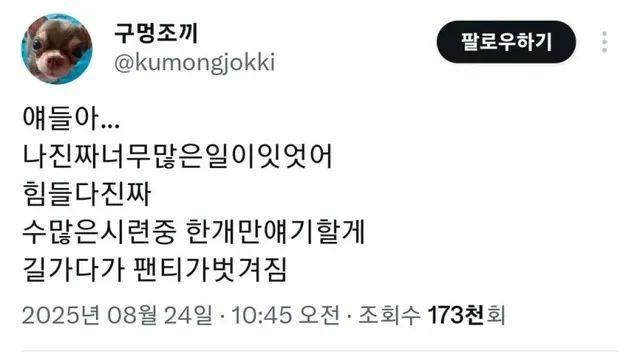 다이소에서 절대 사면 안되는 물건 1위,,