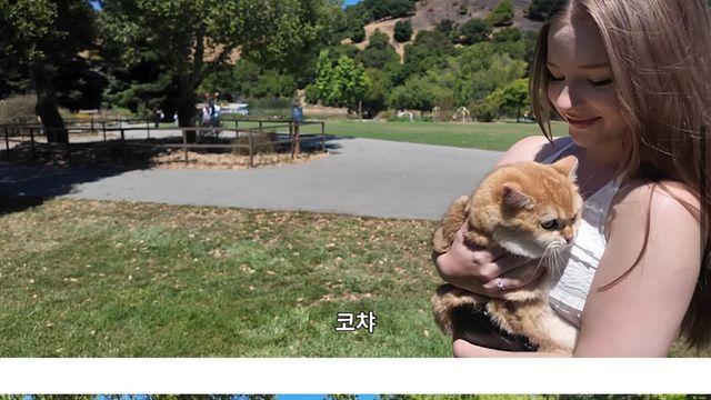 영상 본 시청자들 또 개빡치게한 국제 커플.jpg