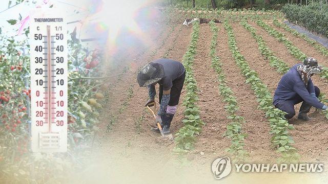 낮 최고 34.5도 평택 텃밭서 일하던 70대 여성 쓰러져 숨져