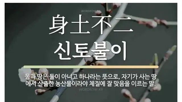 우리나라에서 석유가 나온다면 벌어질 상황,,