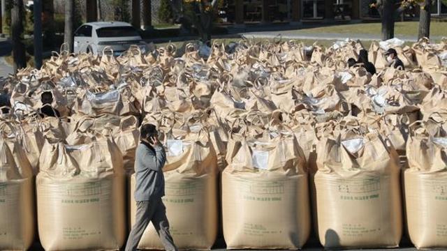 “4000여억원 손실” 추석 전인데 전국 공장서 없어서 망하겠다고 난리 난 '국민 식재료'