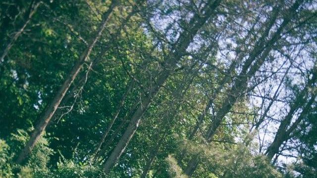 제베원 김태래, 송중기X천우희 '마이유스' OST 참여…감성보컬 각인