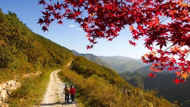 대한민국에 이런 곳이?… 옛 탄광지역에서 산책 핫플레이스가 된 ‘이곳’