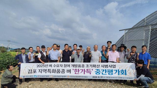김포 특화벼 이삭수 20개·벼알수 110개… 벼알수 많고 생육도 양호