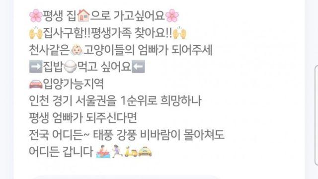 함부로 입양하면 안되는 이유.jpg