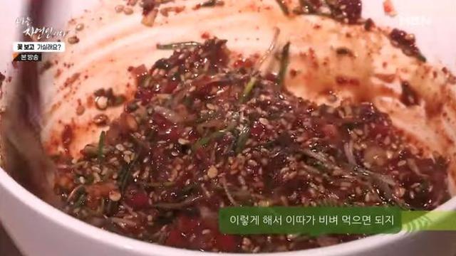 나는 자연인이다 출연자중 제일 요리 잘했었던 자연인