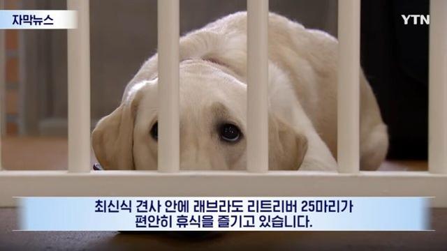 빛이자 자신감이라는 故 이건희 회장의 유산 