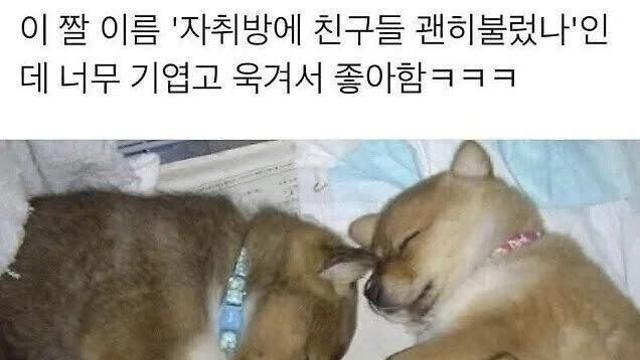 자취방에 친구들 괜히 불렀나